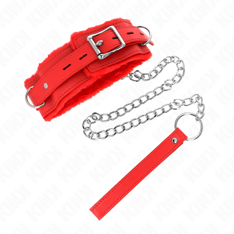 Collier BDSM avec Laisse Métallique 65 cm Réglable 36-42 cm - Kink