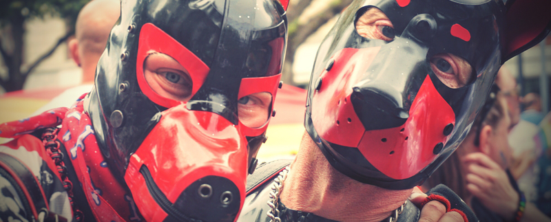 Comment choisir le meilleur Masque Chien BDSM ?