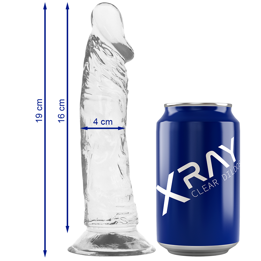 Gode ventouse X Ray — 19 cm - ø 4 cm