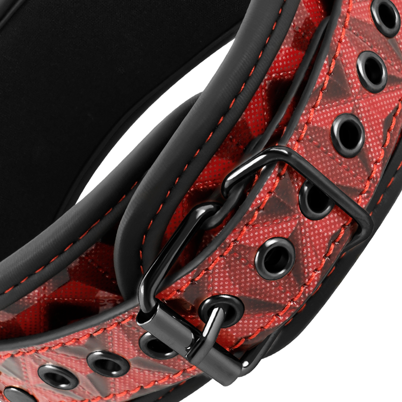 Red edition collar with telemon clips with neoprene lining