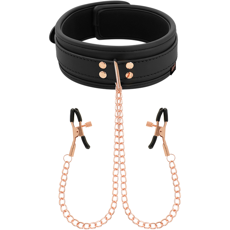 Fancy tip clip collar with neoprene lining