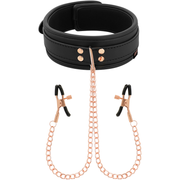 Fancy tip clip collar with neoprene lining