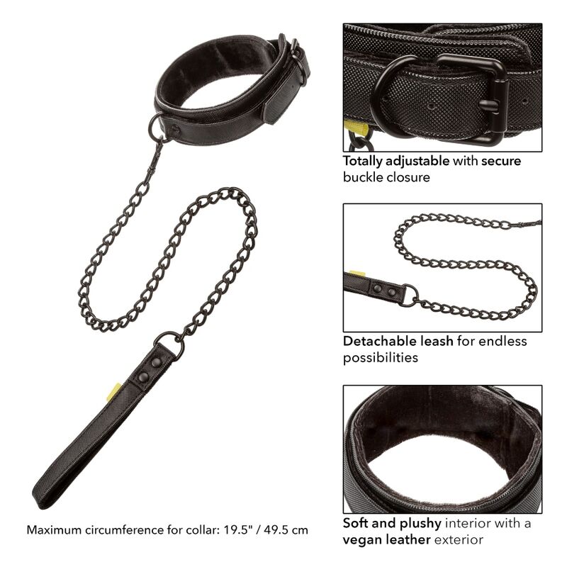 CALEXOTICS - COLLAR AND LEASH WITHOUT LIMITS