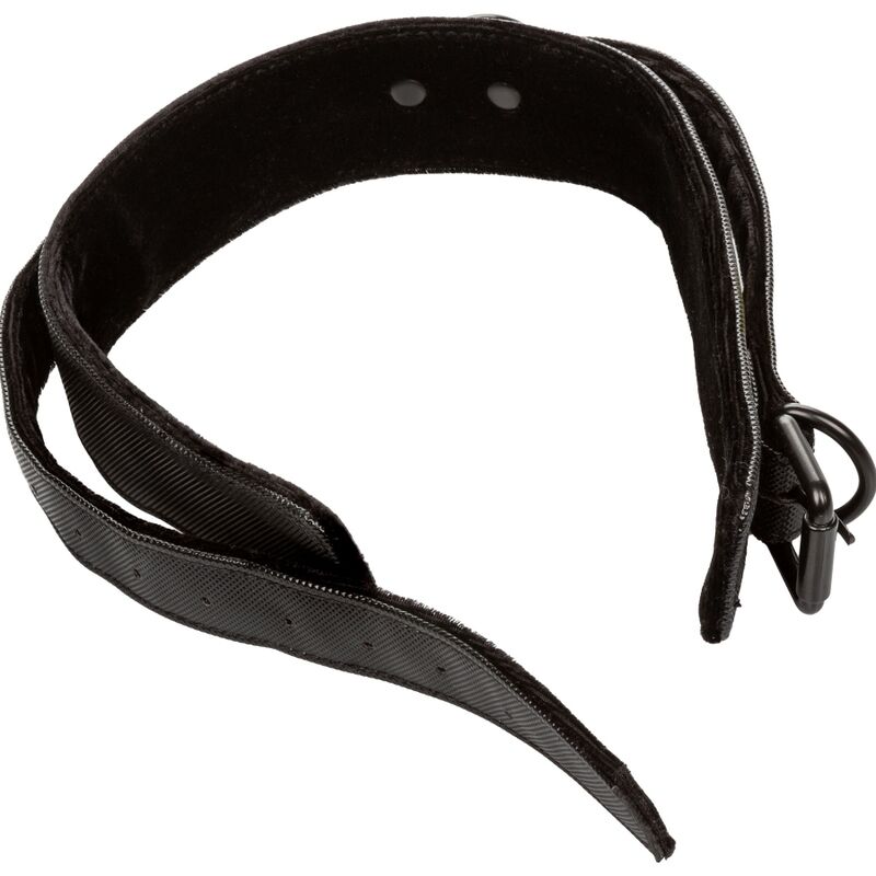 Collar and leash without limits