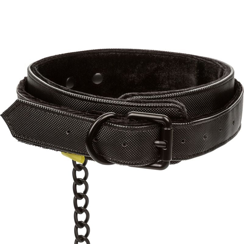 Collar and leash without limits