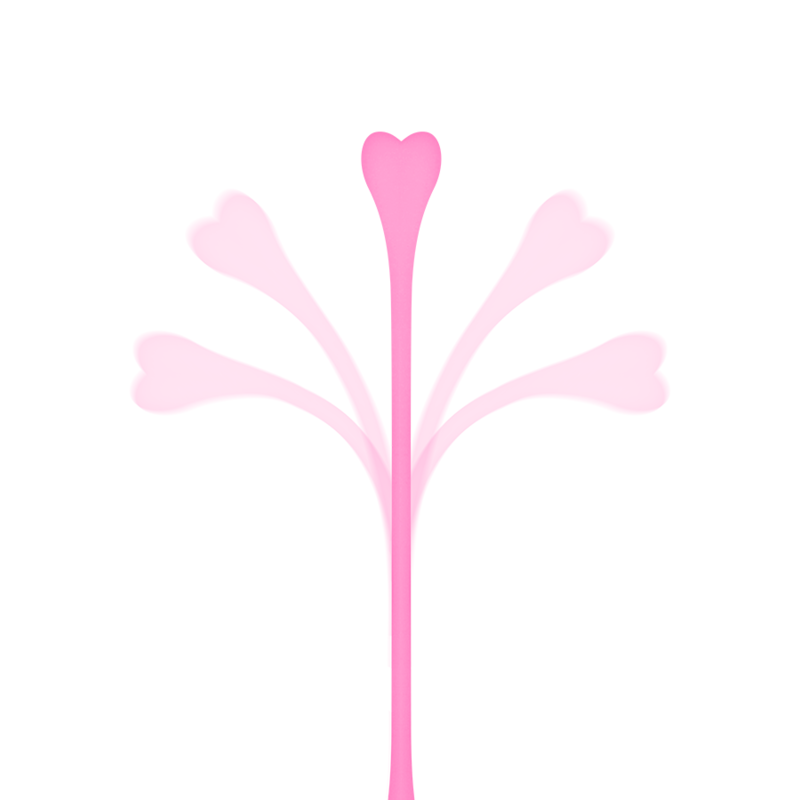 Set of 5 Kegel Exercise Balls