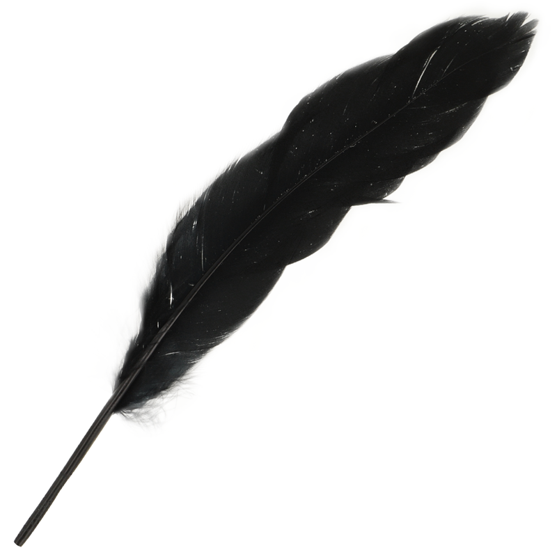 Couples Together Number 3