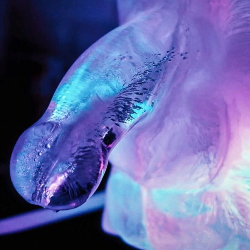 Huge penis ice luge mold