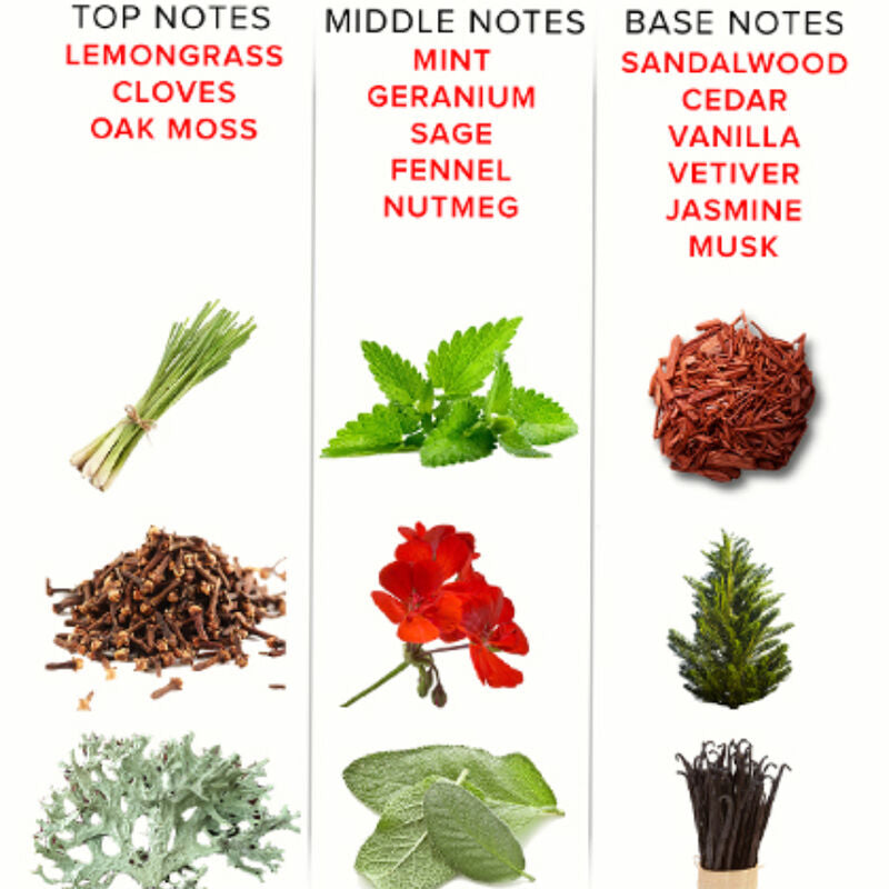 EOL pheromone perfume 10 ml - romantic