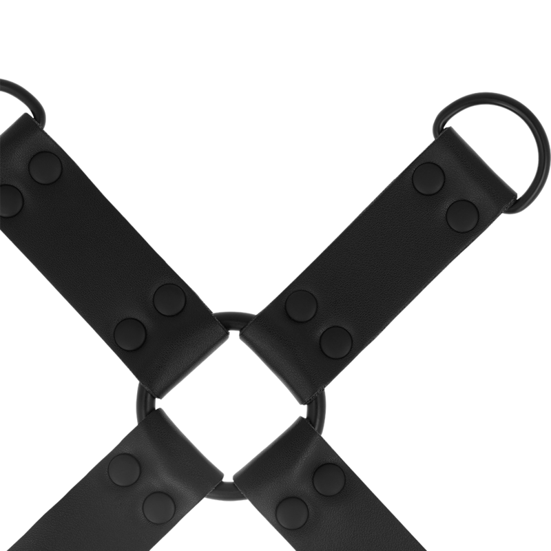 INTENSE - PIG TIE FETISH