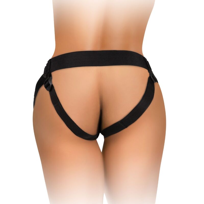 Elite Adjustable Beginner Harness