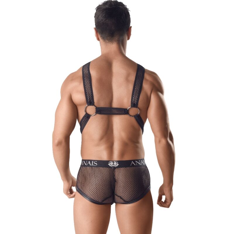 Axel III L/XL harness