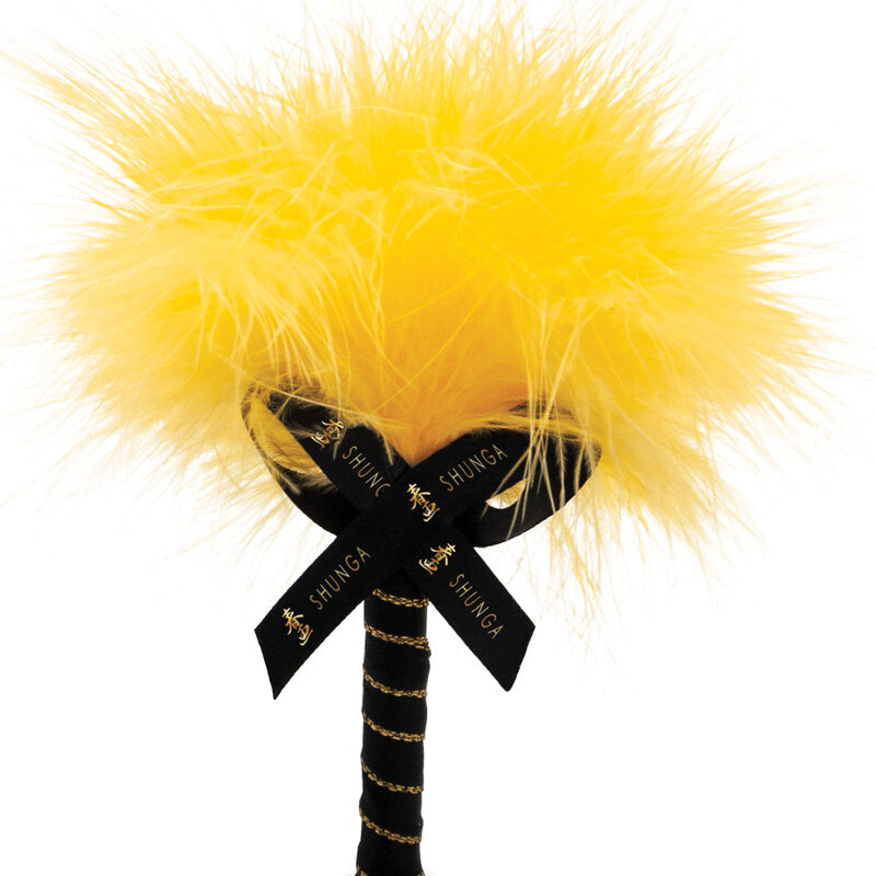 Edible Mango Massage Powder Kit