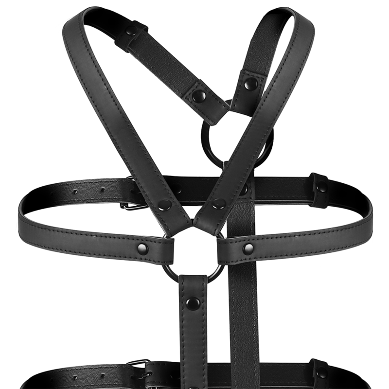 Adjustable chest and arm harness