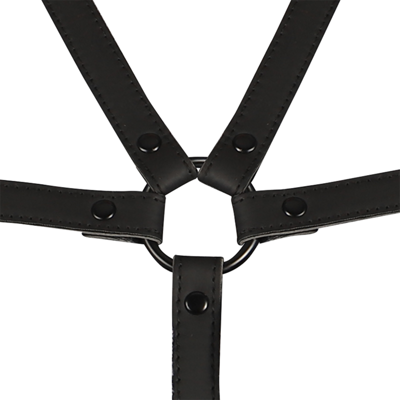 Adjustable chest and arm harness