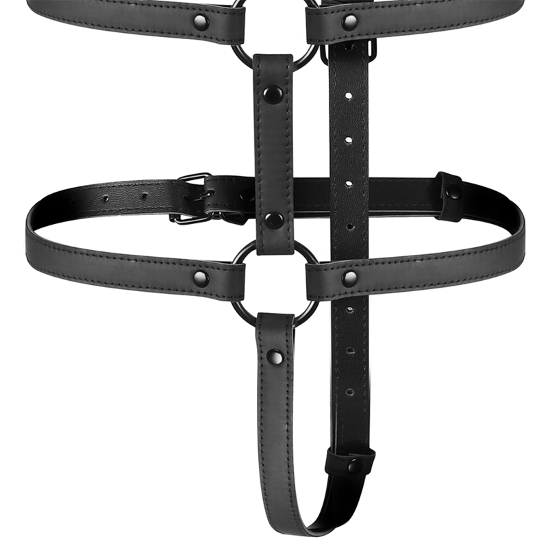 Adjustable chest and arm harness