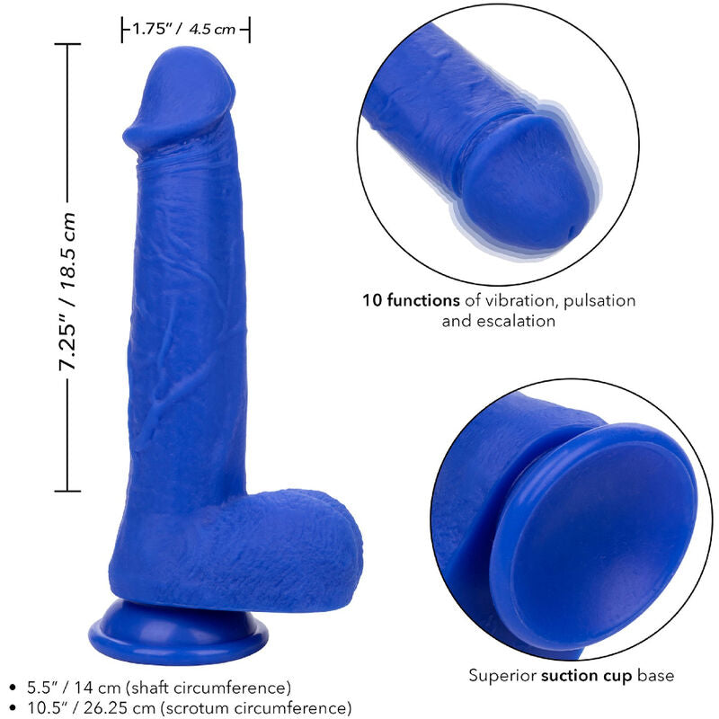 CALEXOTICS - ADMIRAL VIBRATOR REALISTIC DILDO CAPTAIN BLUE