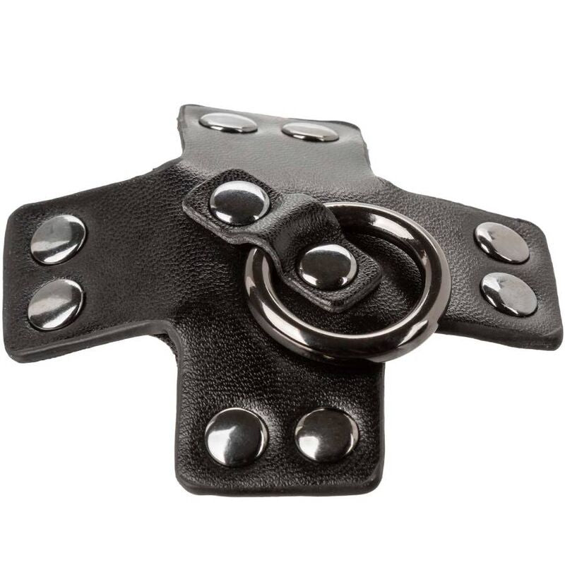 Euphoria black O-ring