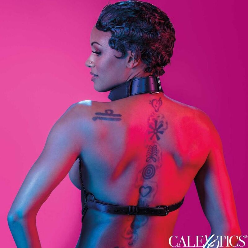 Euphoria multi-chain collar harness