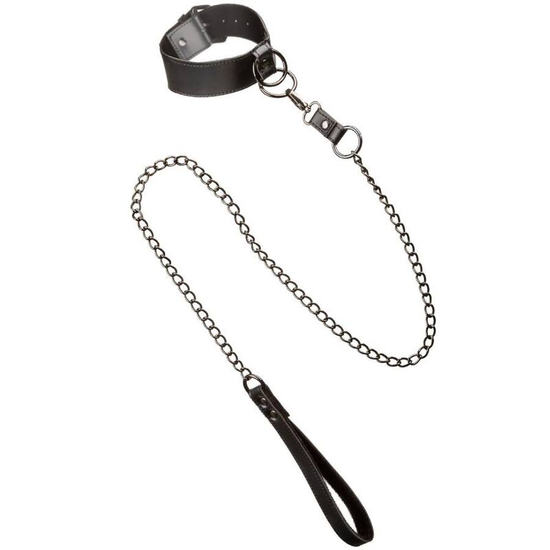 Euphoria collar with chain leash