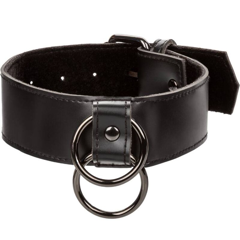 Euphoria collar with chain leash