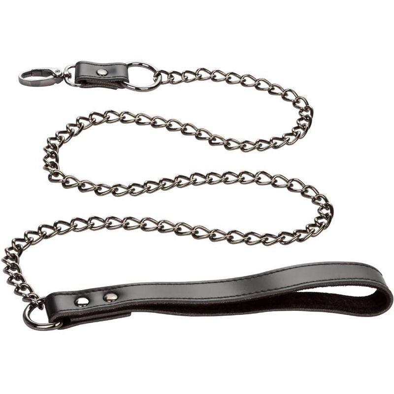 Euphoria collar with chain leash