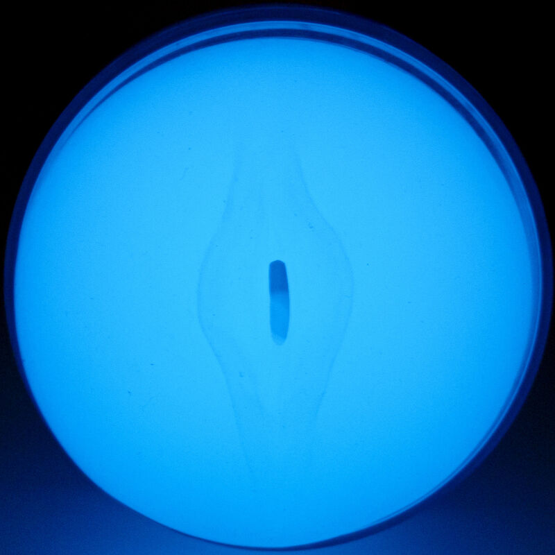 Feel glow in the dark stroker