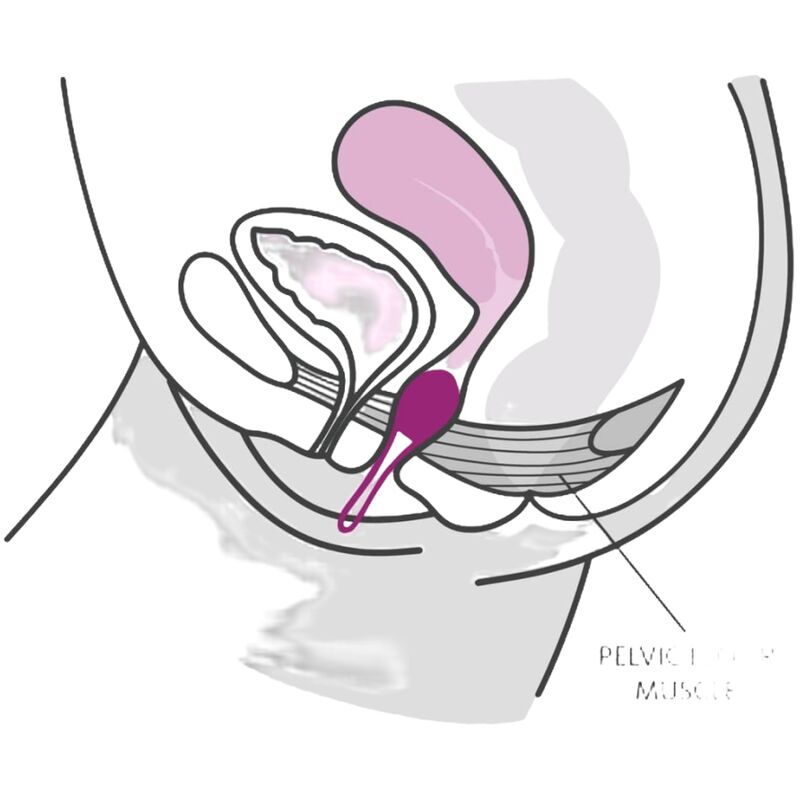 Smartball uno pelvic ball white / pistachio green