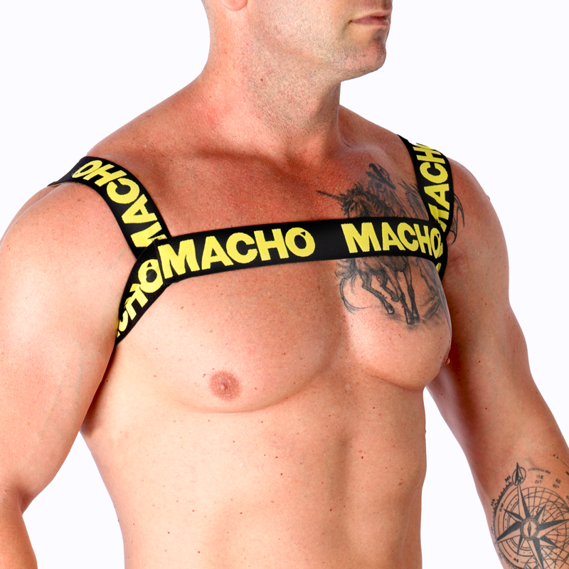 Yellow double harness