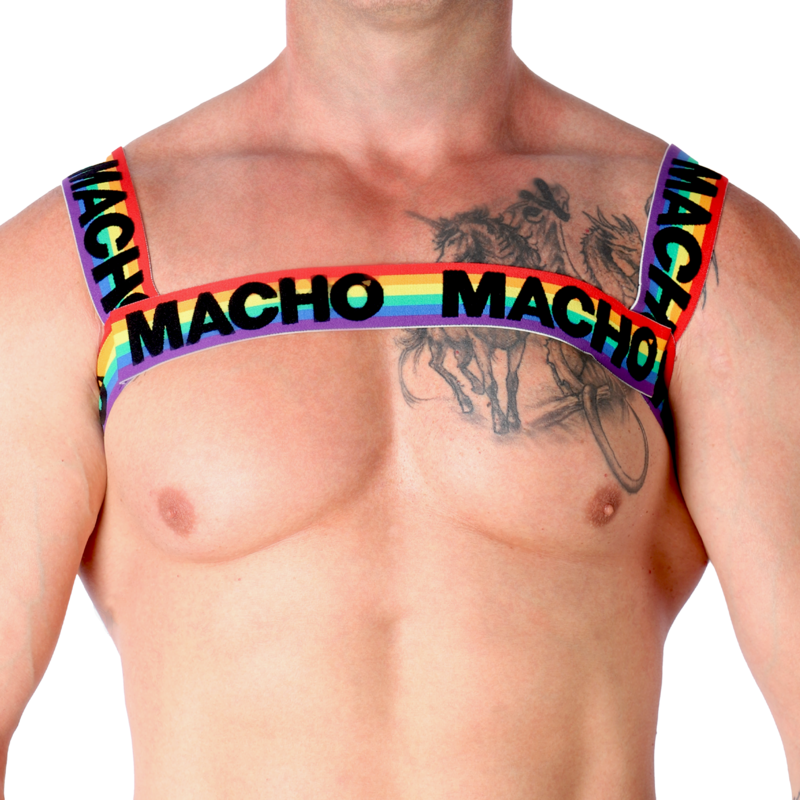 Double Pride Limited Harness