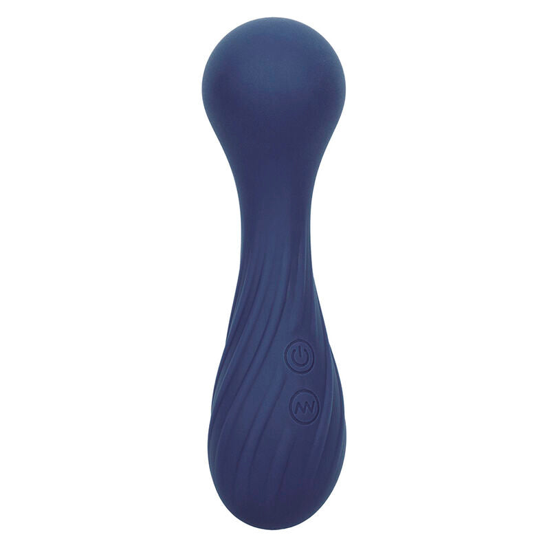 Charisma temptation massager 12 functions purple