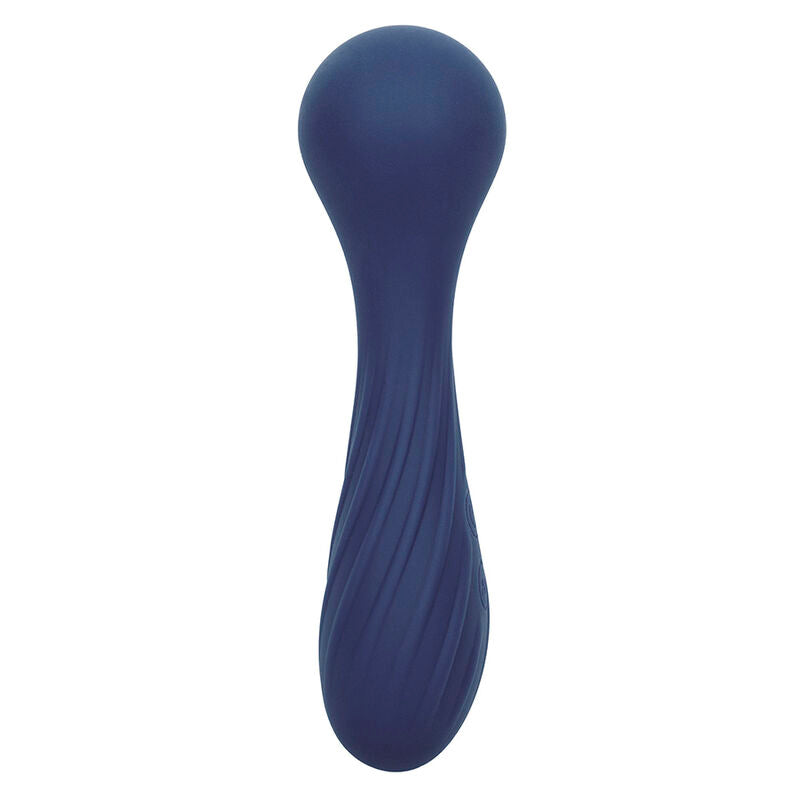 Charisma temptation massager 12 functions purple
