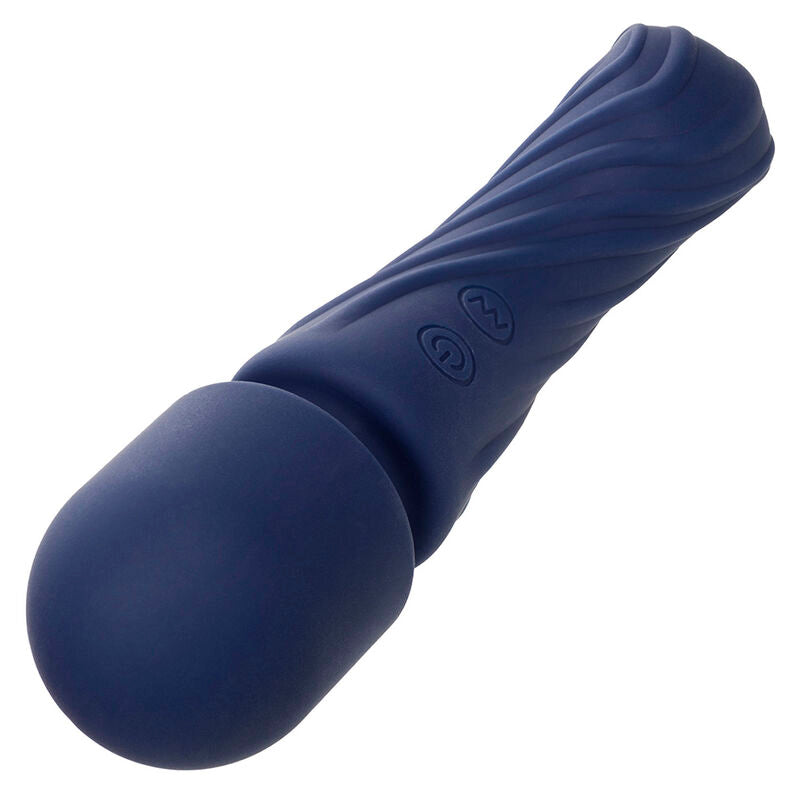 Charisma Allure Dual Motor Massager 12 Functions 17.25 cm x 4.5 cm Purple