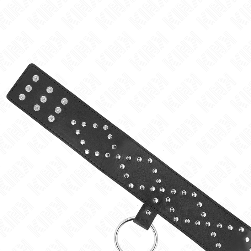 65 cm collar with leash with silver studs model 3 adjustable 36-43 cm x 5 cm