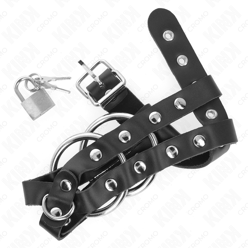 Adjustable penis cage with lock