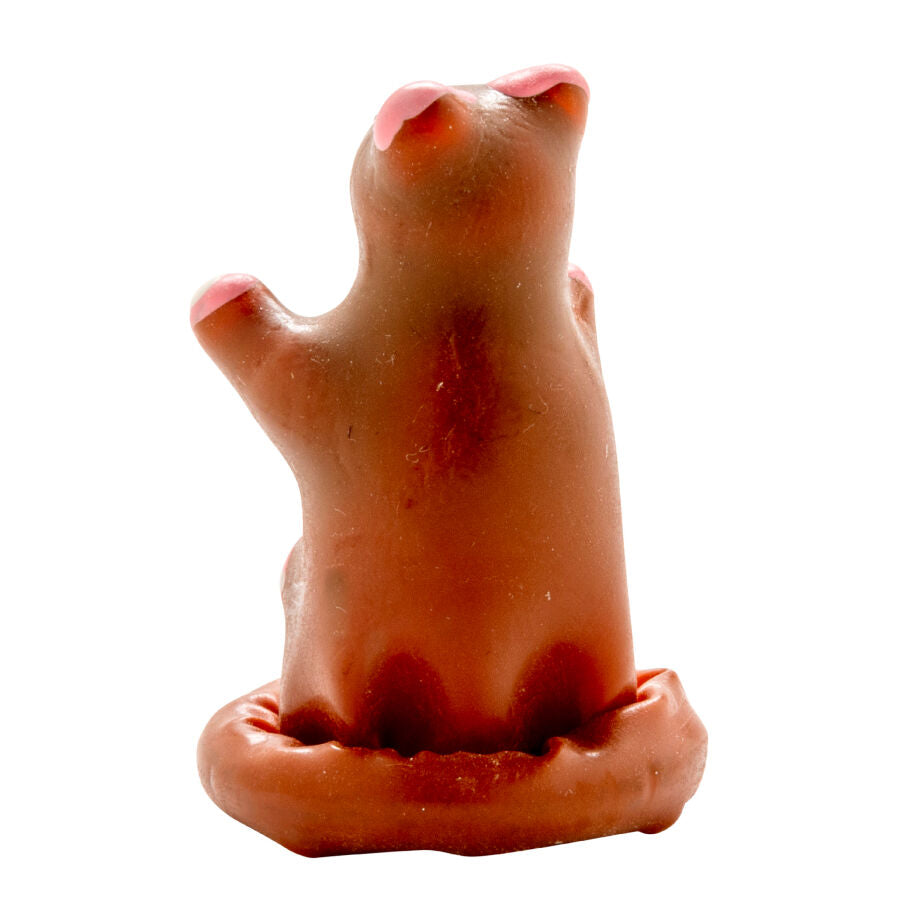 CONDOMERIE - FANCY HAND-PAINTED TEDDY BEAR CONDOMS