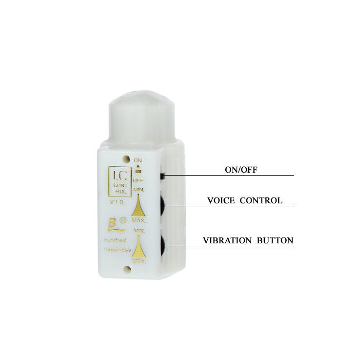 Mr Big Realistic Penis and Anus Masturbator