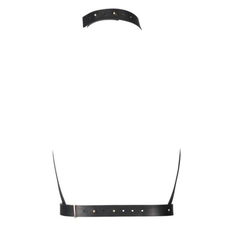 Black H harness
