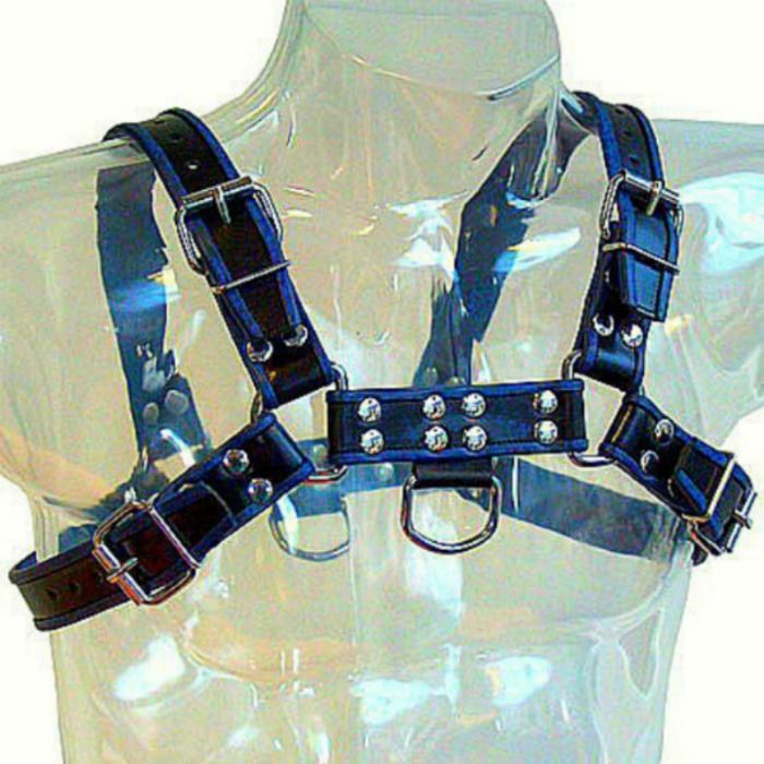 Blue and black leather bulldog chest harness