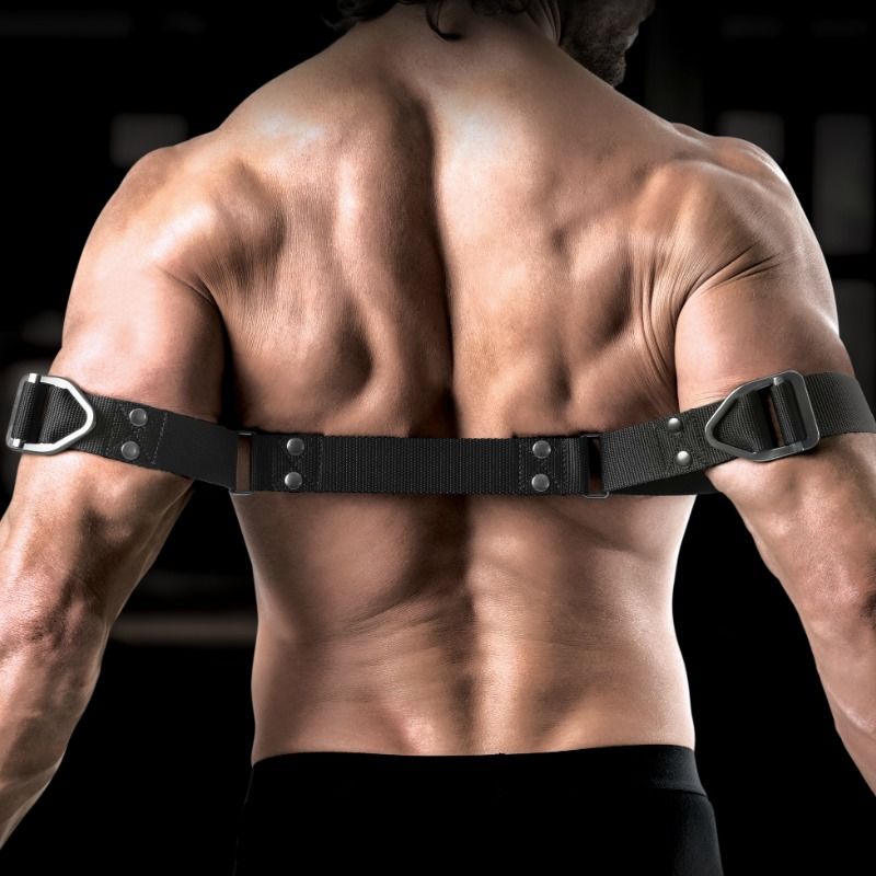 Biceps Bender Command