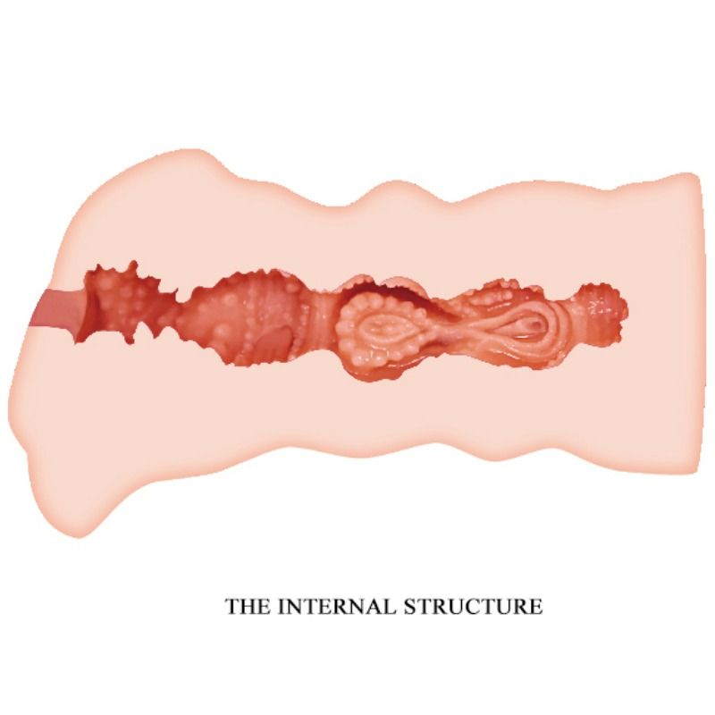 Leila vagina masturbator 13.5 cm