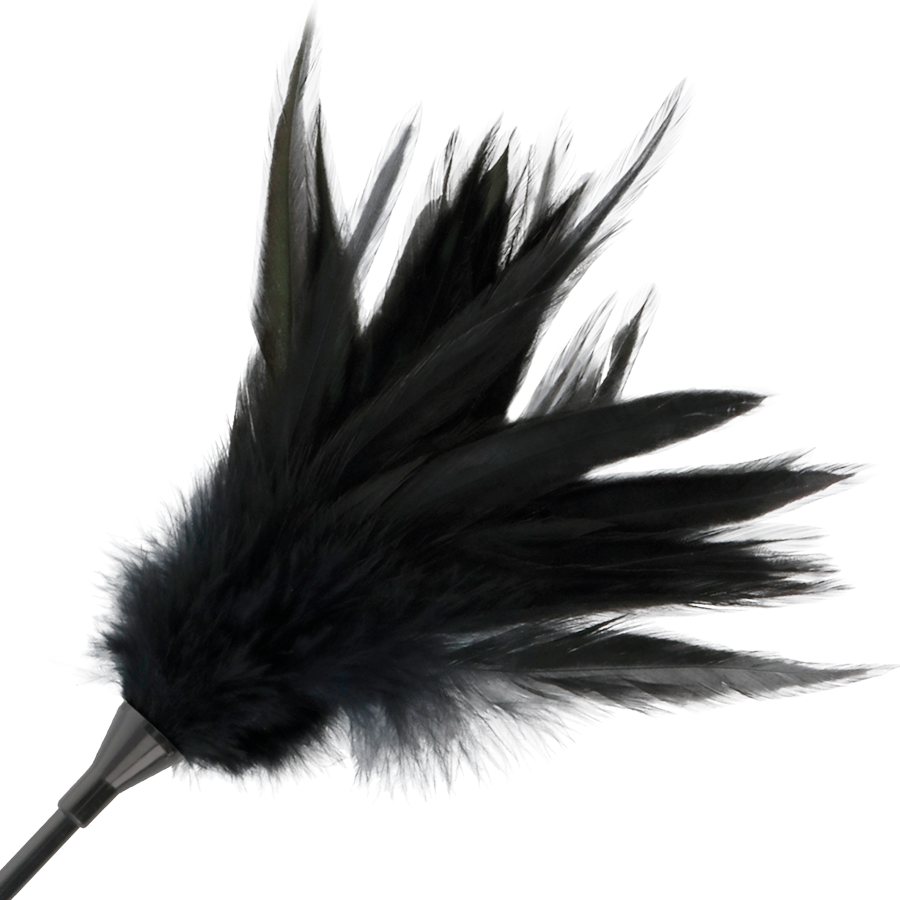 Black feather whip