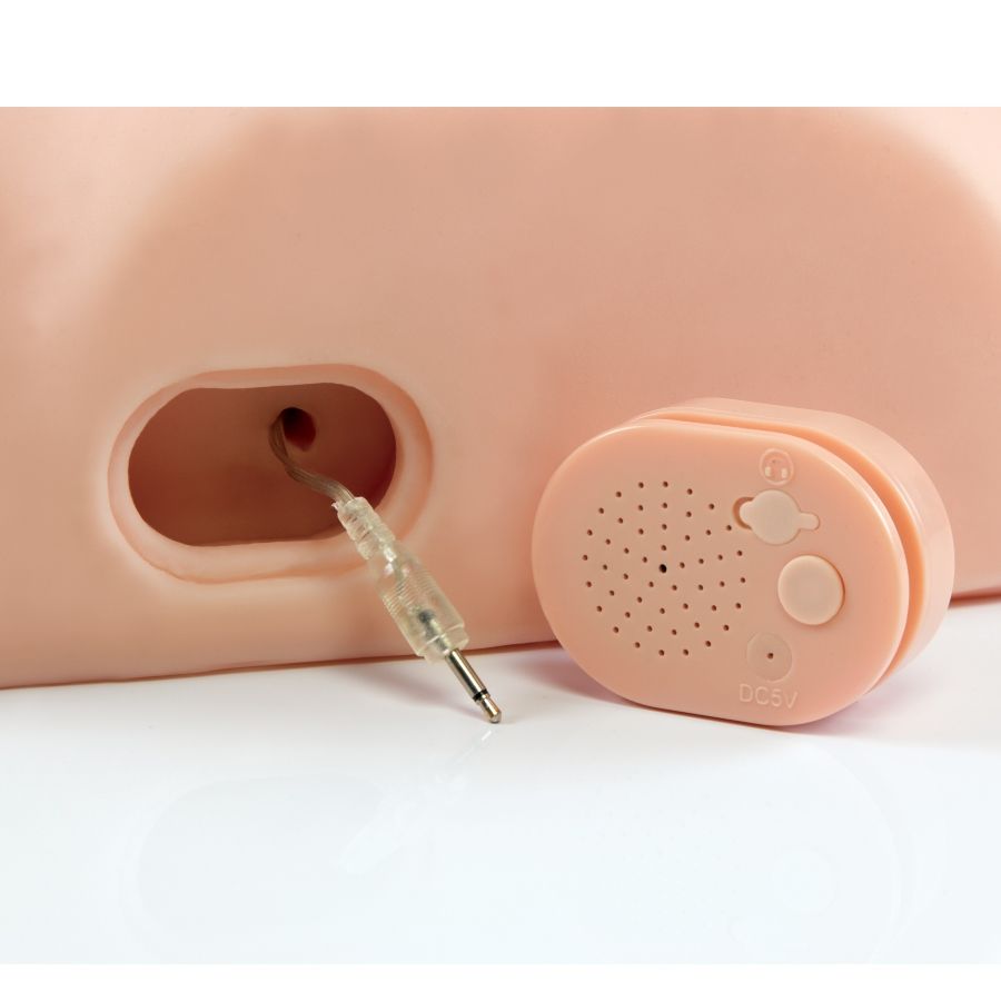 Interactive Fuck It Silly