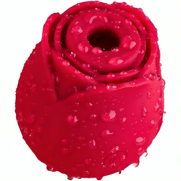 Stimulateur Clitoridien Delight Flower 10 Modes de Succion - Armony