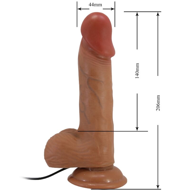 Schéma explicatif — gode ventouse Baile